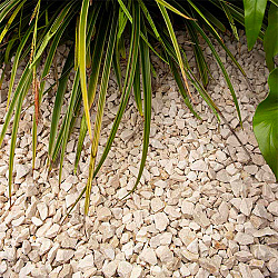 Yellow sun split 5-11 mm bulk