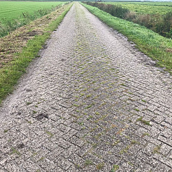 Diverse, Gebruikte Betonklinkers, Grijs, 7/8cm dik