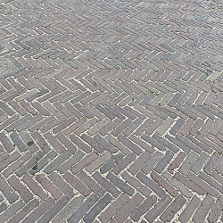 SBP29, Oude Gebakken Klinkers, Waalformaat, Rood-Paars
