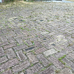 SBV14, Wzei, Oude Gebakken Klinkers, Keiformaat, Genuanceerd
