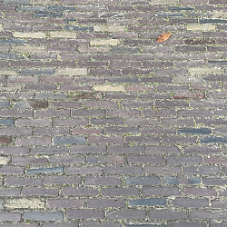 Wolz, Oude Gebakken Klinkers, Waalformaat Genuanceerd