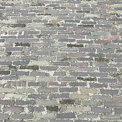 Wolz, Oude Gebakken Klinkers, Waalformaat Genuanceerd