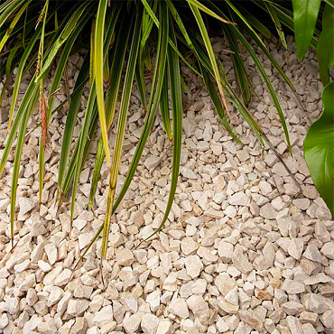 Yellow sun split 5-11 mm bulk