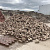 WHa(2), Oude Gebakken Klinkers, keiformaat, Rood-Bruin