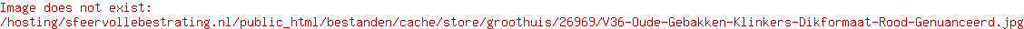 V40, Oude Gebakken Klinkers, Dikformaat, Rood-Genuanceerd